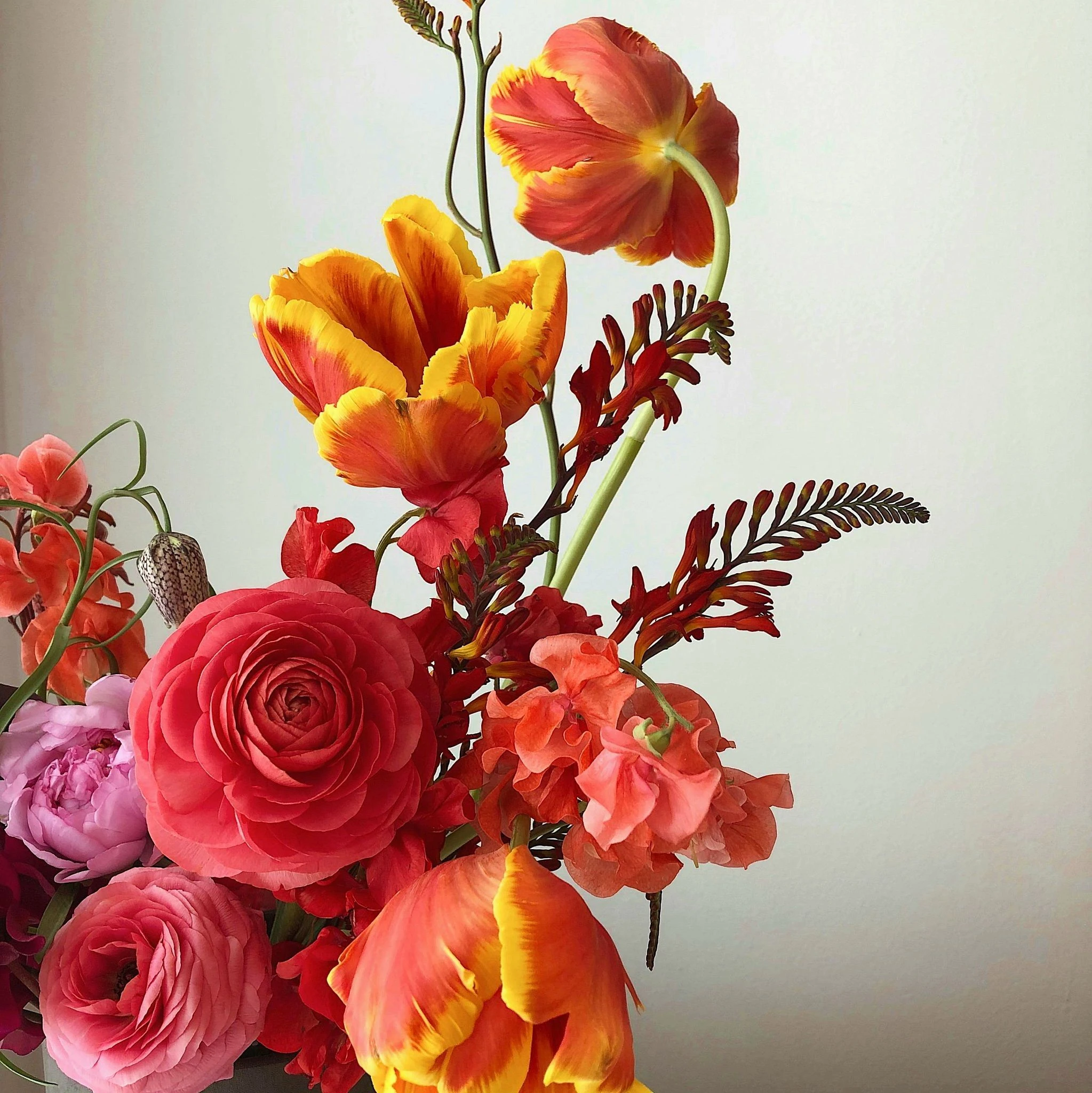 Celebrate Every Season with Nature’s Finest Blooms